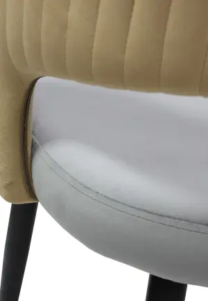 Scaun Monaco Gri Bej din Catifea Babyface