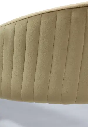 Scaun Monaco Gri Bej din Catifea Babyface