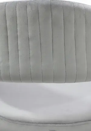 Scaun Monaco Gri din Catifea Babyface