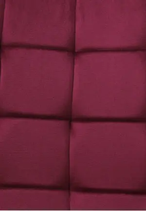 Scaun Onix Bordo din Catifea Babyface